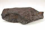 Chondrite Meteorite ( g) - Western Sahara Desert #208169-1